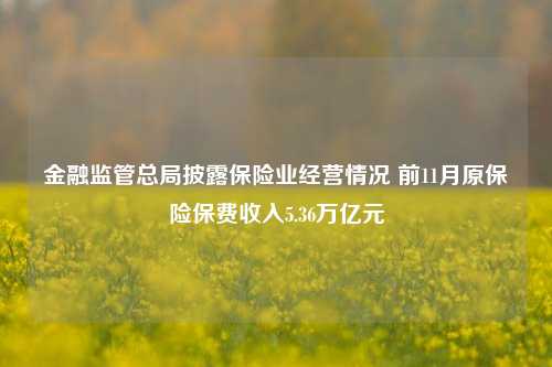 金融监管总局披露保险业经营情况 前11月原保险保费收入5.36万亿元