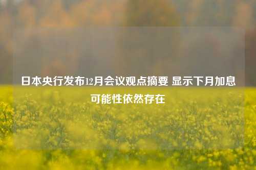 日本央行发布12月会议观点摘要 显示下月加息可能性依然存在