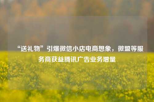 “送礼物”引爆微信小店电商想象，微盟等服务商获益腾讯广告业务增量