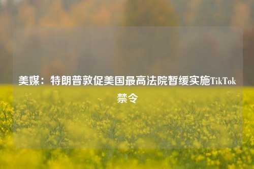 美媒：特朗普敦促美国最高法院暂缓实施TikTok禁令