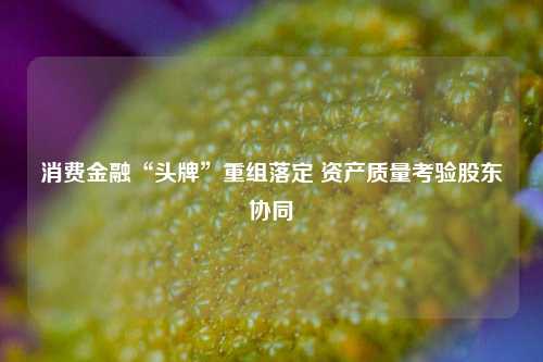 消费金融“头牌”重组落定 资产质量考验股东协同