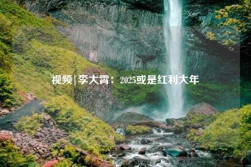 视频|李大霄：2025或是红利大年